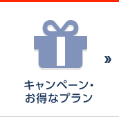 �L�����y�[���E�����ȃv����