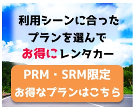 �����ȃv����