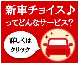 �V�ԃ`���C�X��