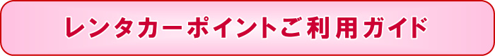 �����^�J�[�|�C���g�����p�K�C�h