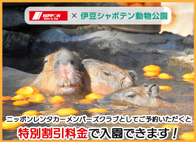 伊豆シャボテン動物公園