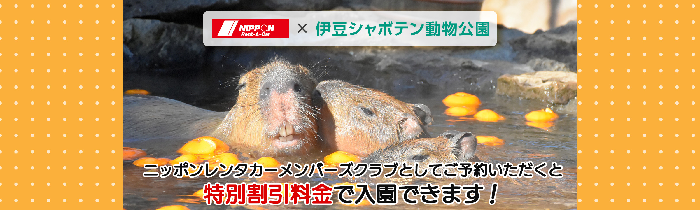 伊豆シャボテン動物公園に遊びに行こう！