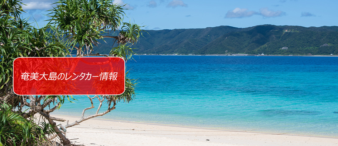 鹿児島県・奄美大島のレンタカーのご案内です。