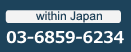 within Japan 03-6859-6234