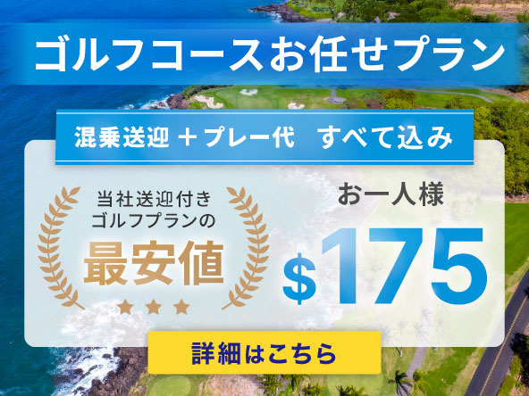 https://tachibana.com/anygolf/