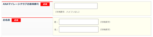 ANA説明