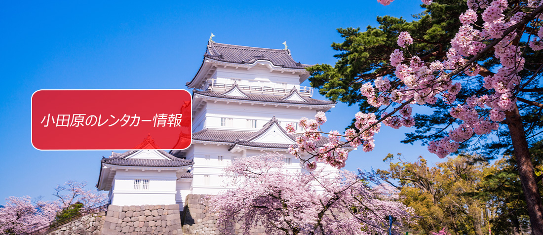 神奈川県・小田原のレンタカーのご案内です。