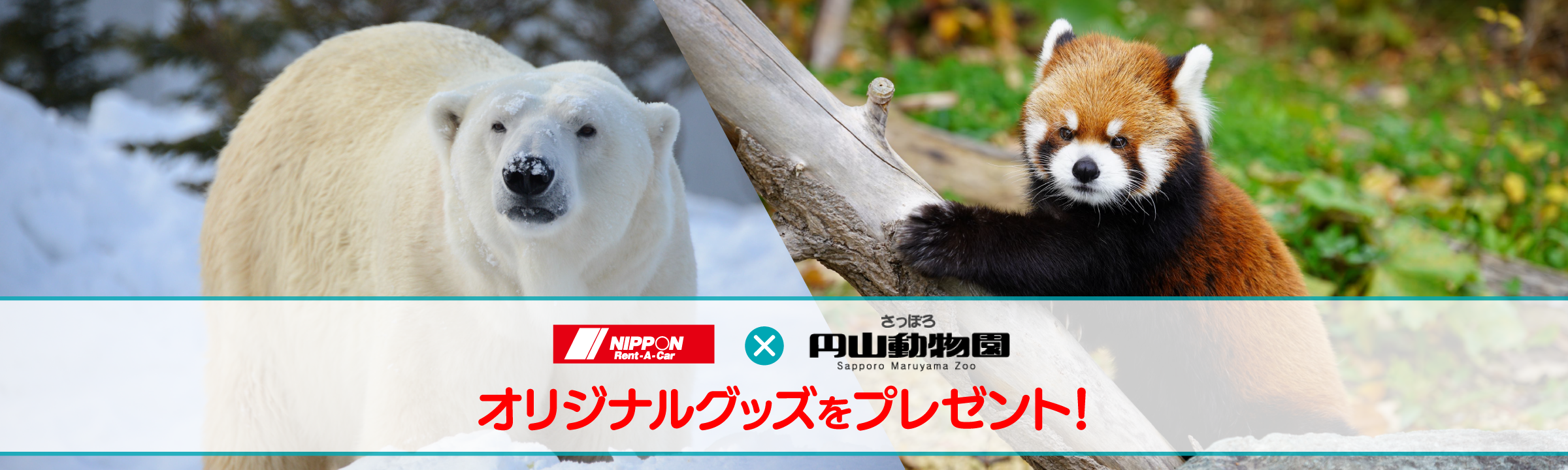 札幌市円山動物園に遊びに行こう！
